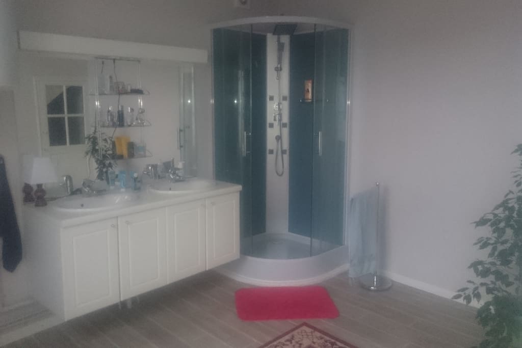 La salle de bain avec sa douche à jets