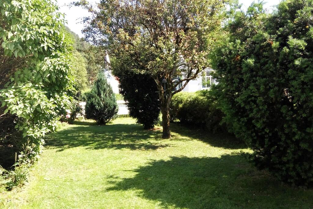 Park