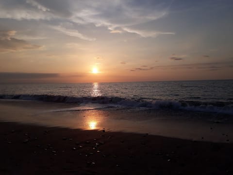 A Corner on the Beach