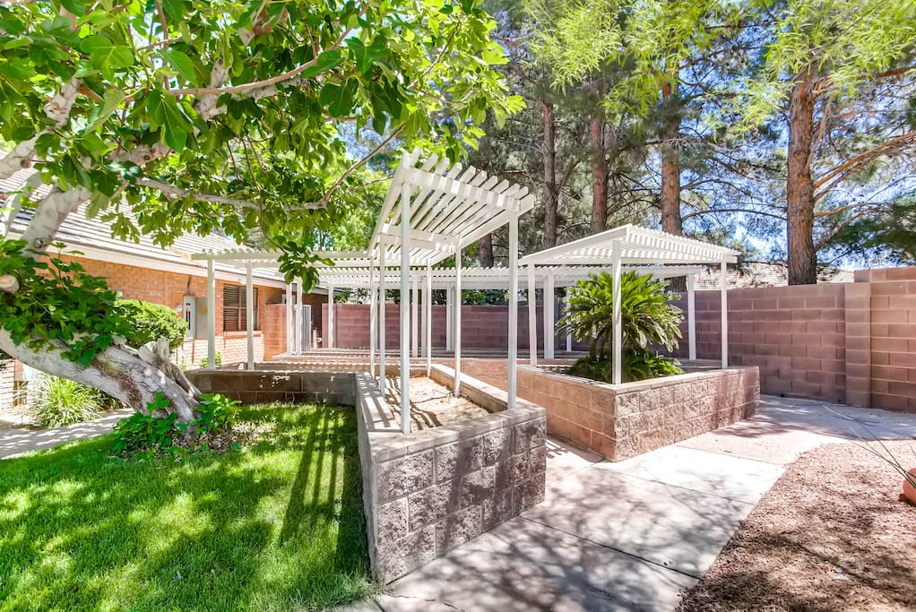 Immaculate backyard BBQ grill, shaded area, games, huge swimming pool, tons of open space, and plenty of seating