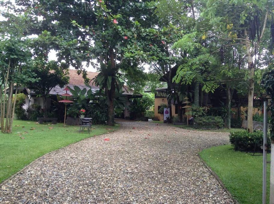 Garden flat (on left) and Teahouse.