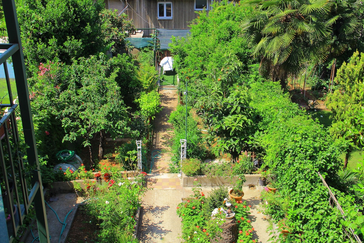 A well-maintained garden is visible, featuring a variety of lush greenery and colorful flowers. Pathways meander through the space, leading to a central area where a small gazebo stands. Various plants and trees create a serene and inviting environment.