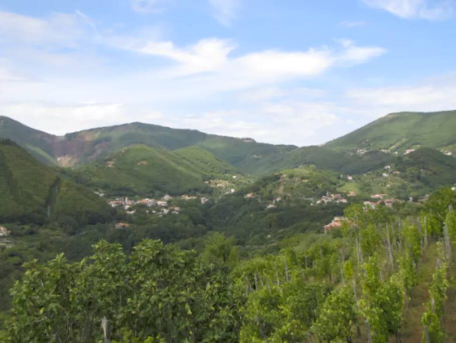 Tramonti.