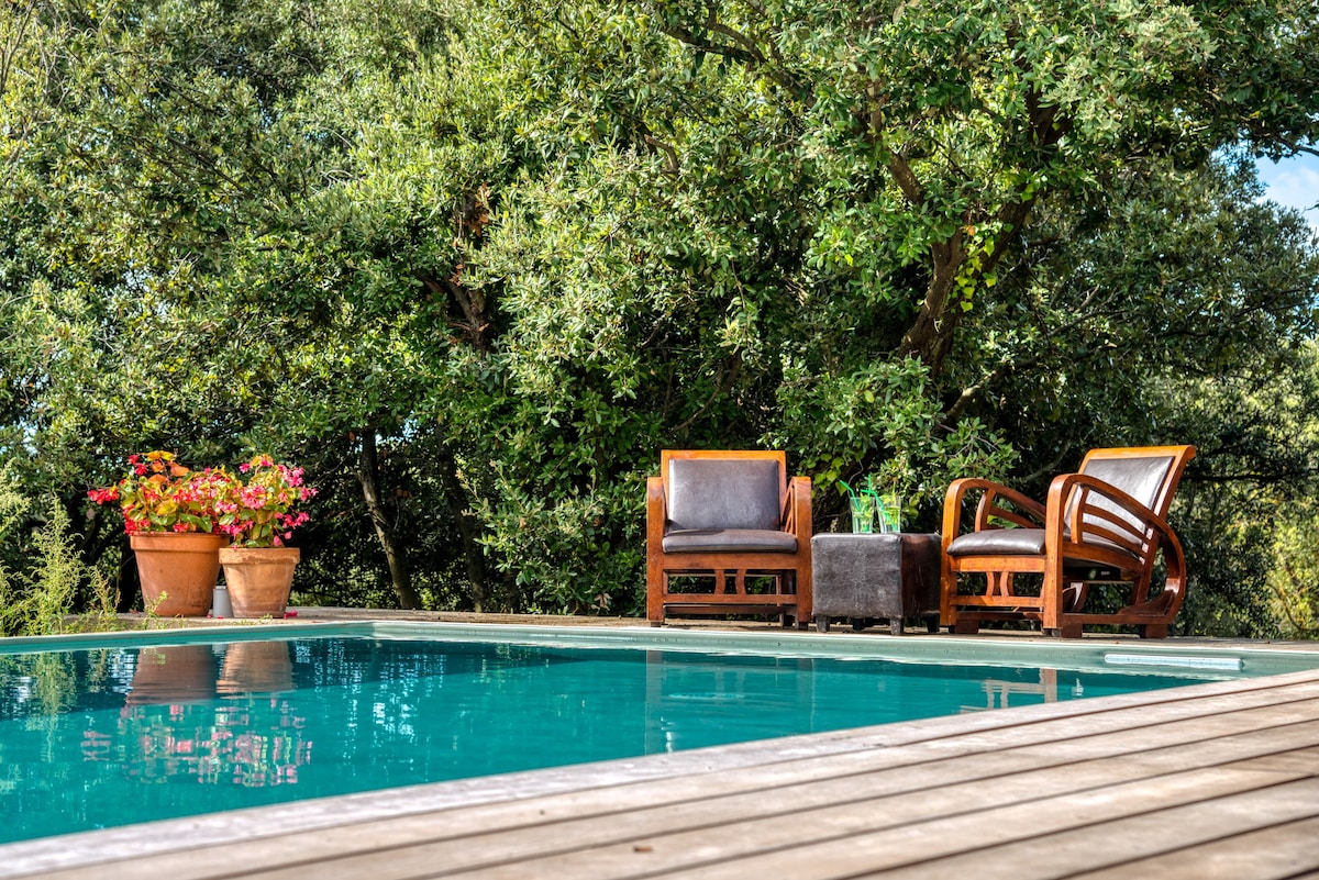 Two wooden lounge chairs with cushioned seats are positioned by a tranquil swimming pool. Lush greenery surrounds the area, complemented by colorful flowering plants in terracotta pots. The pool's clear blue water reflects the natural setting, creating a peaceful outdoor retreat.