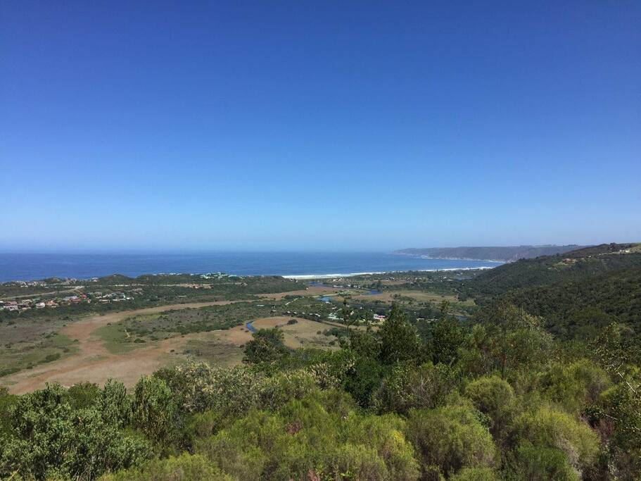 Wilderness from Hoekwil