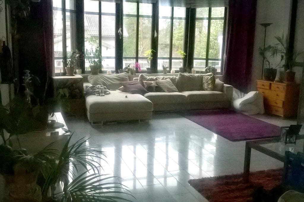 Our living room has space for yoga or other activities.