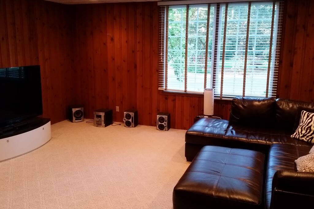 Family/Theater room