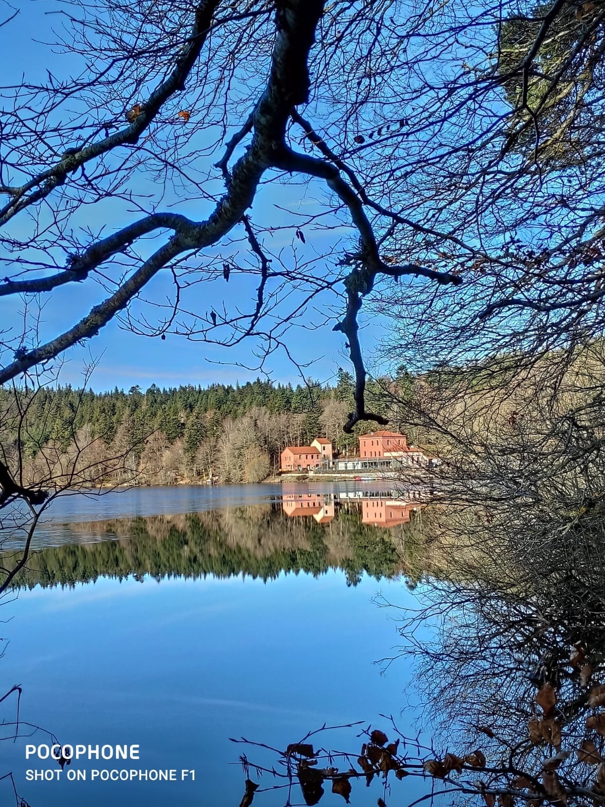 A serene lake is framed by bare branches, reflecting the calm blue sky above. The still water mirrors the surrounding forest and the rustic building nearby, creating a tranquil scene of nature and architecture.