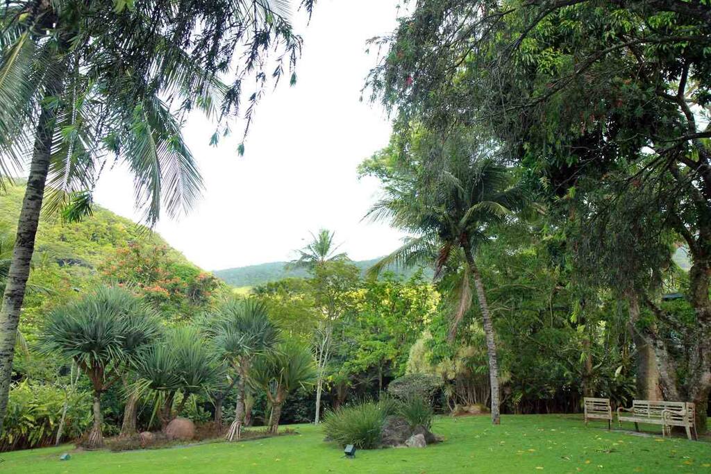Bancos no jardim