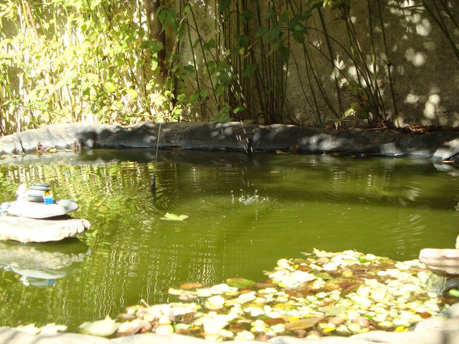 Jardin