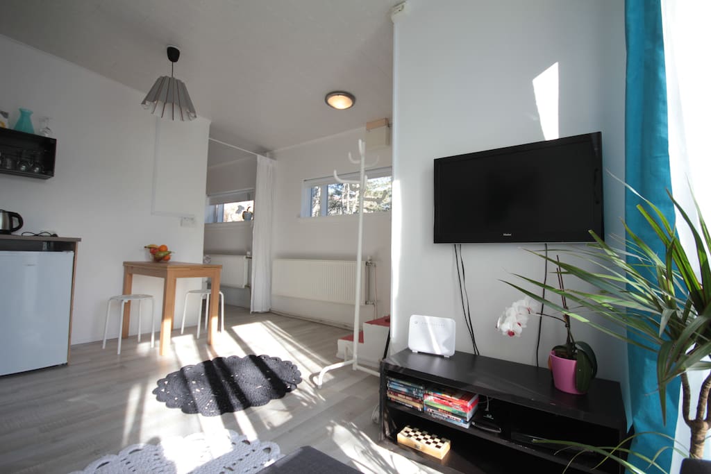 This is the livingroom/kitchen space with bedsofa and telly. You can make the table larger so it fits 4.