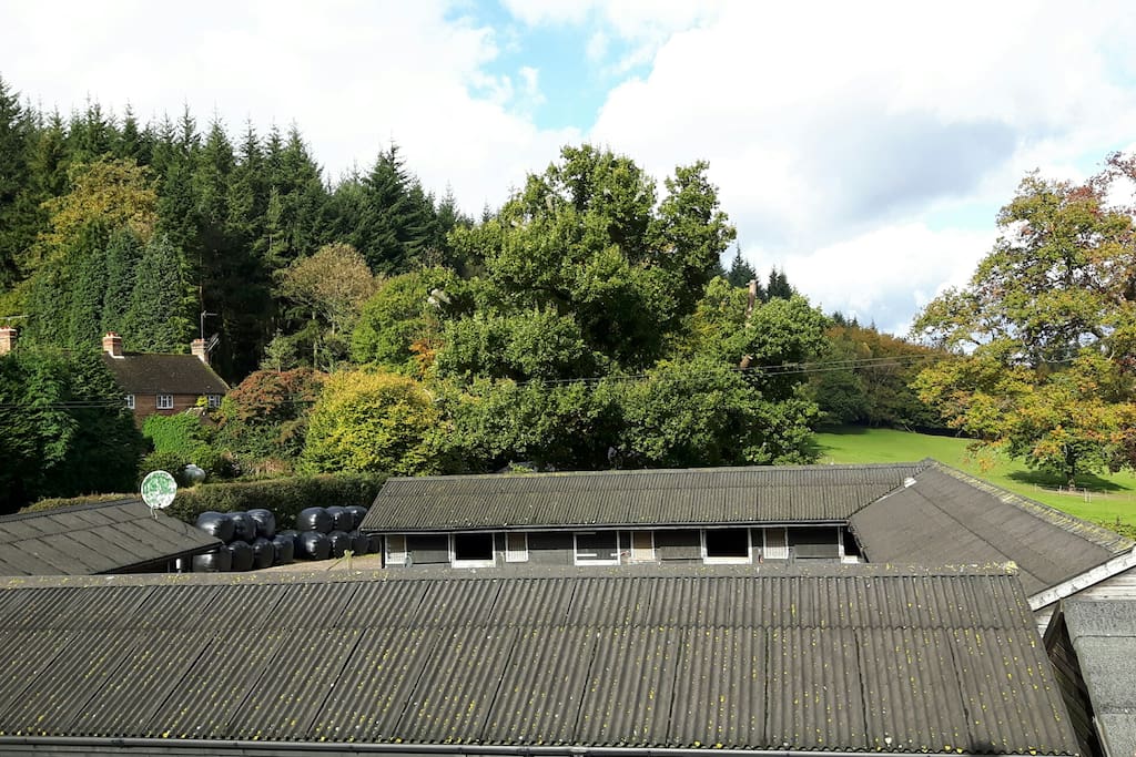 Your apartment is in the near left hand corner - the rest is a working stable yard.
