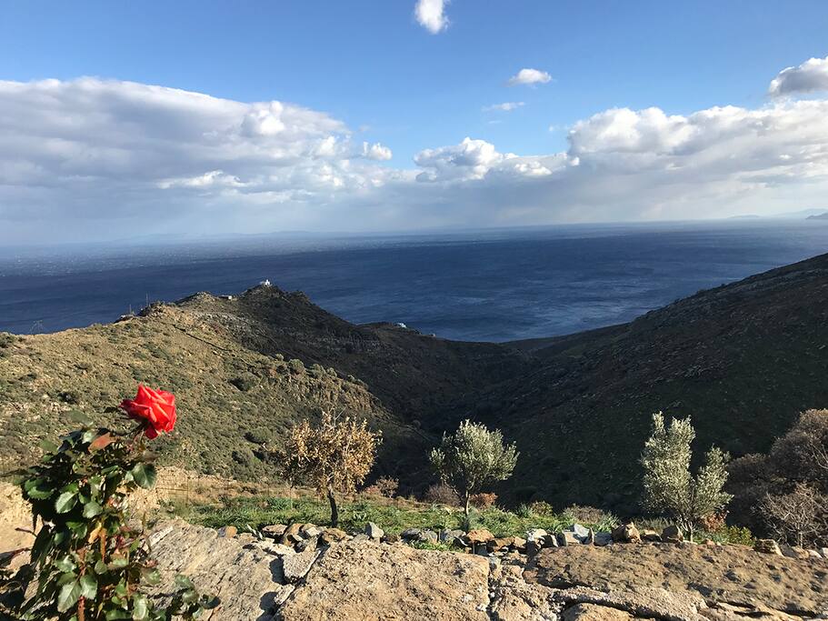 The view