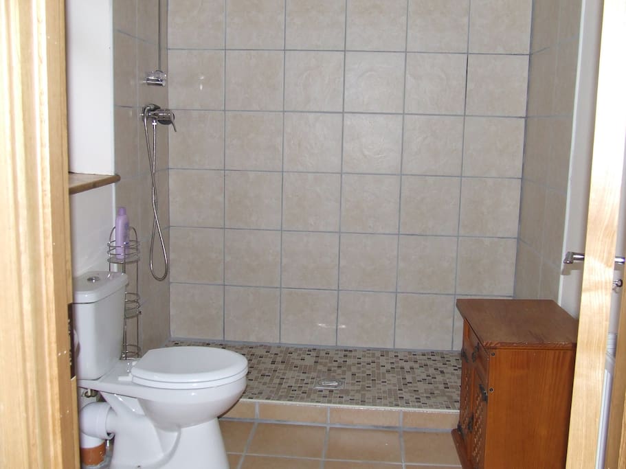 Downstairs bathroom