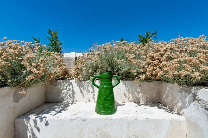 Masseria Pezza – Exclusive 18 pax gallery image 3