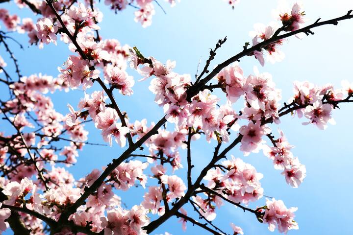 Moro Restaurant Neustadt An Der Weinstrasse Airbnb