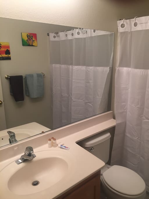 Guest Bathroom