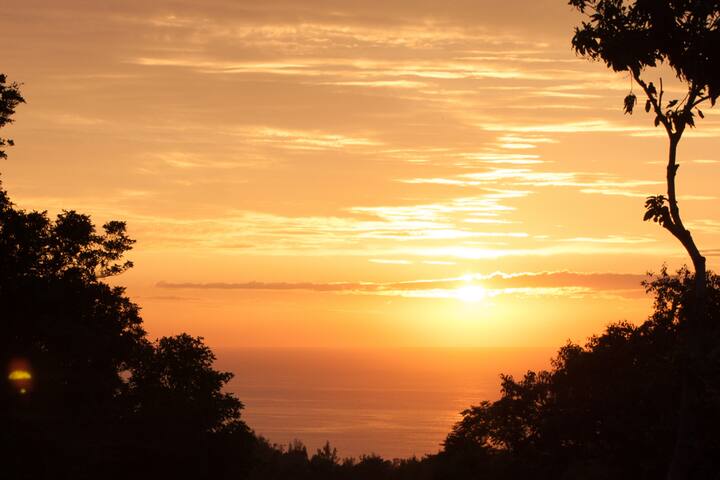 Surfer’s HQ @ Pupukea ** surf is up !!!! 30 day+