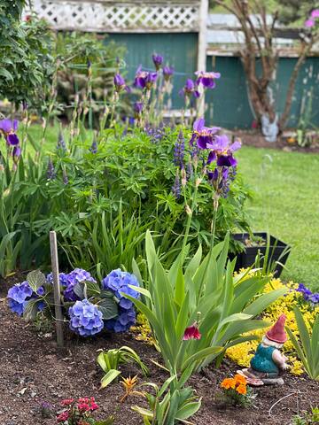 Bright and Spacious / On Quiet Nature Sanctuary gallery image 4