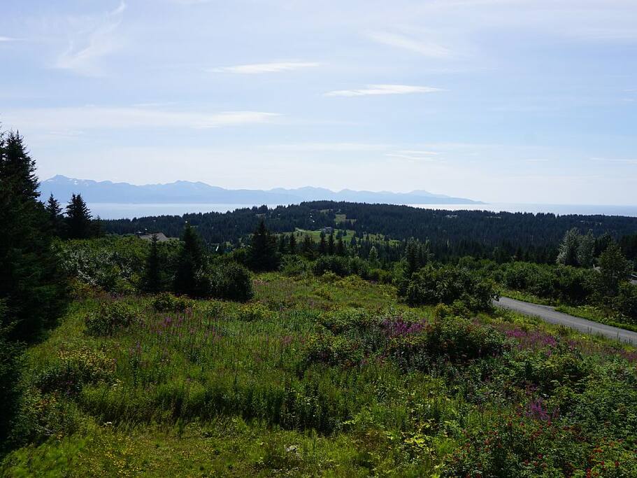 View from the deck
