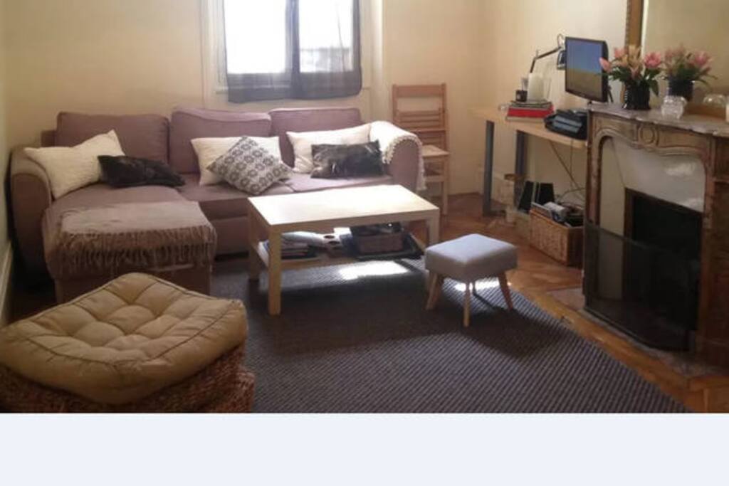 Salon/ living room