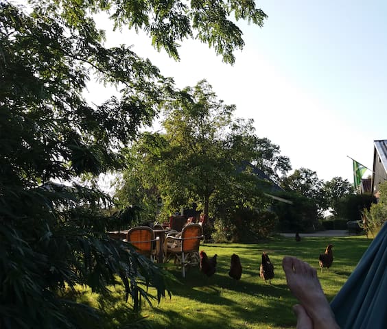 Eco-Farmhouse: a better place to stay!