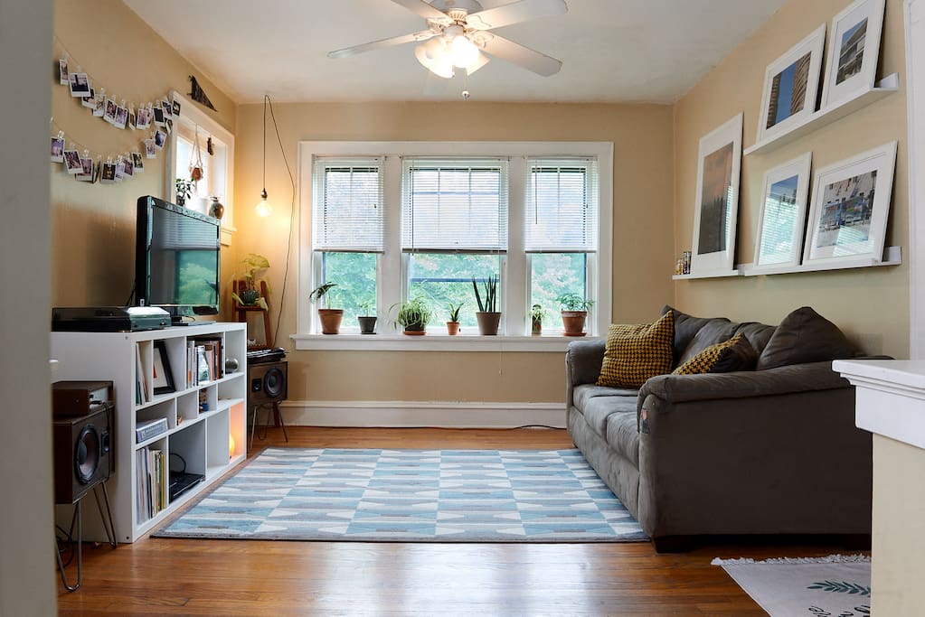Our living room provides ample light for an assortment of plants.