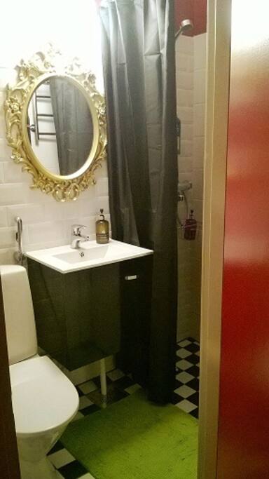 Bathroom, renovated in 2016