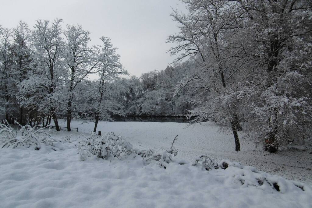 La plage en hiver (2)