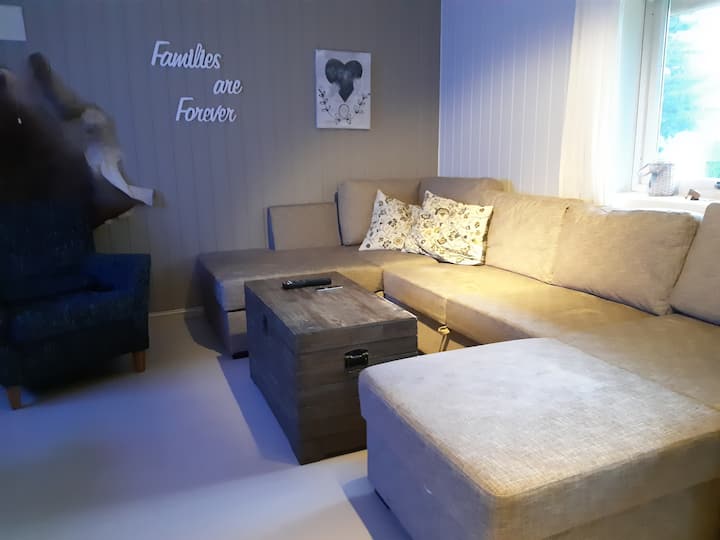 Cozy basement living room with private bathroom and private entrance