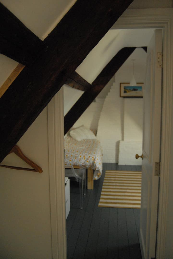 Вход към тавана