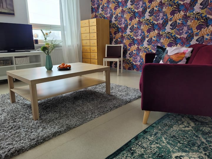 Valoisa Huoneisto Vanhassa Kyläkoulussa - Pyhäjärvi