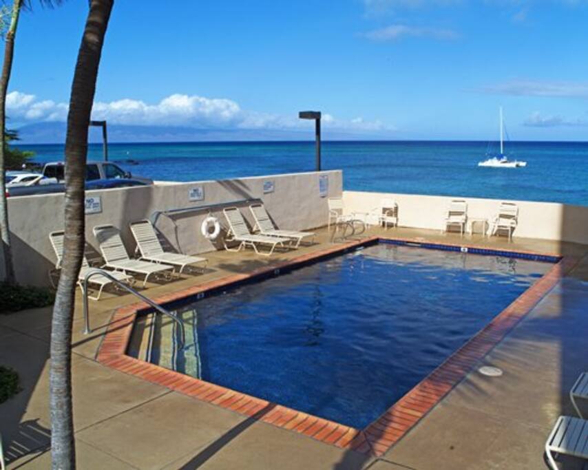 View from Pool