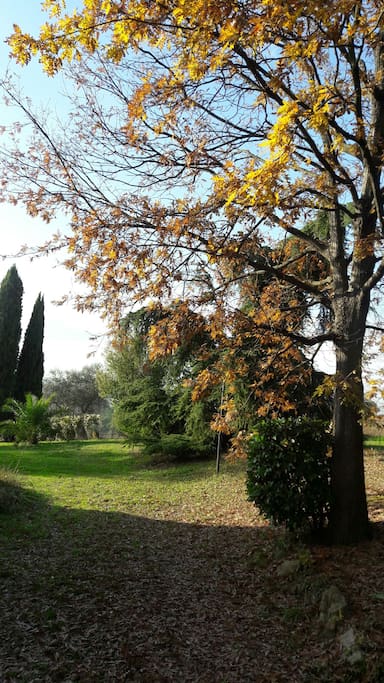 giardino