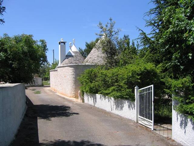 luxury villa for relax and beaches gallery image 4