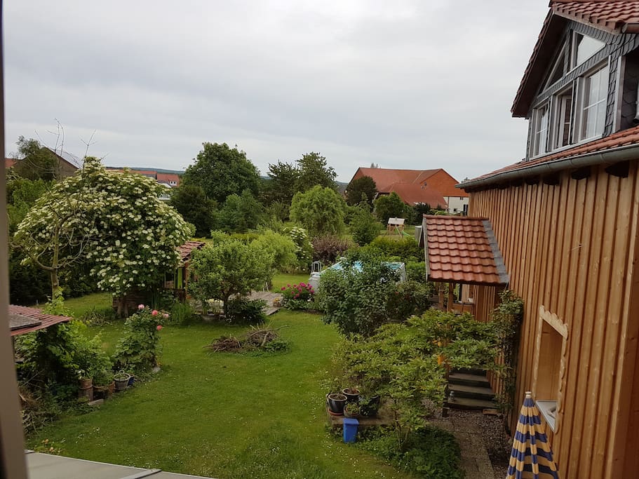 Blick in den Garten