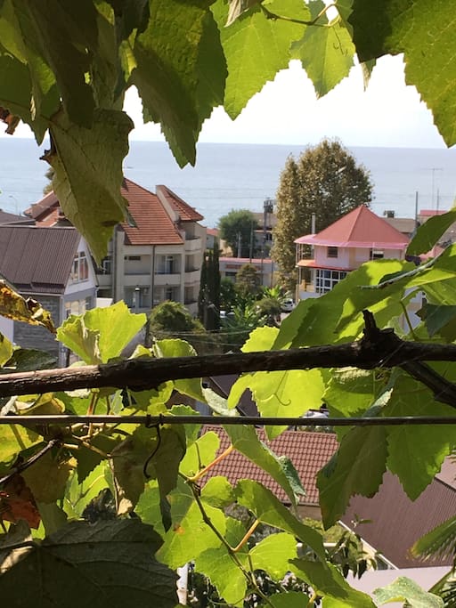 Вид с балкона