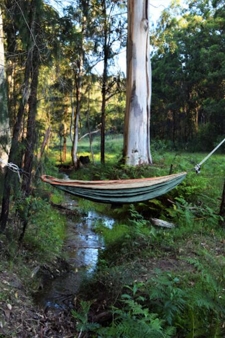 Hammock