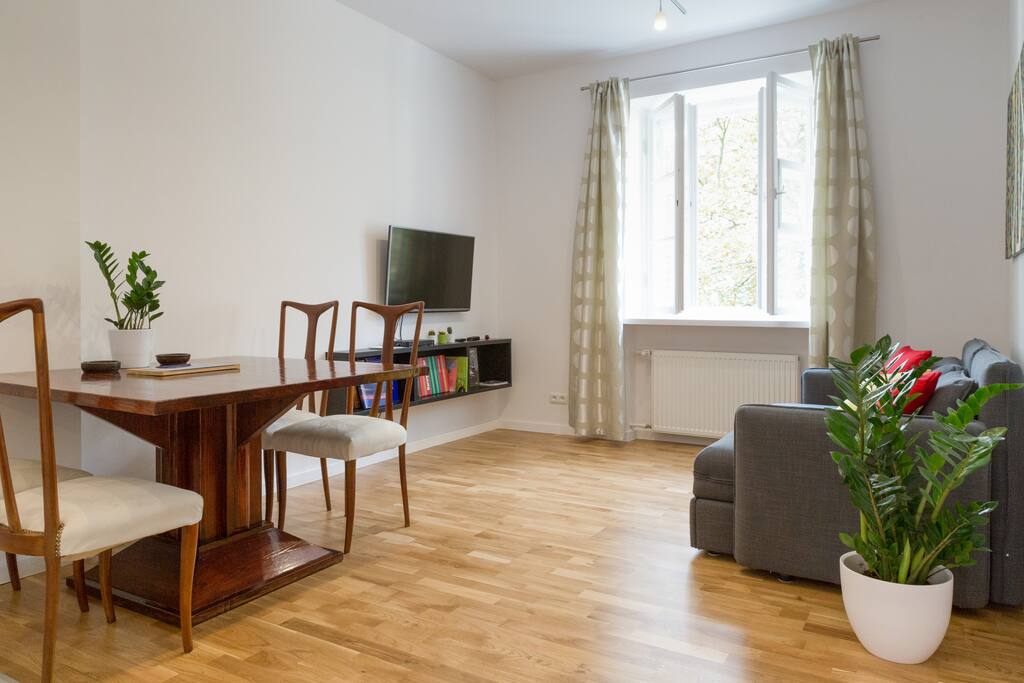 Spacious living room with a sofa-bed