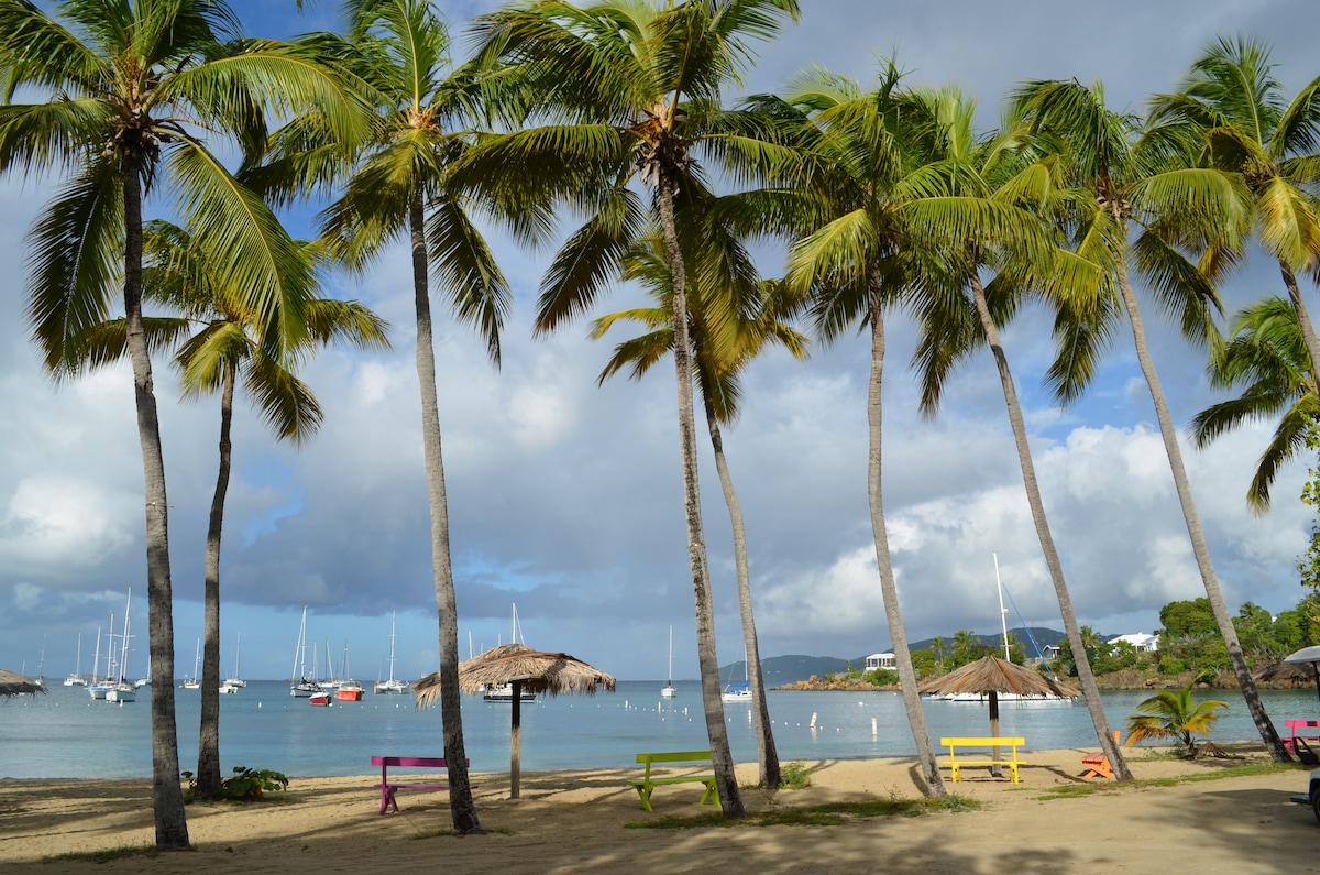 Lush palm trees extend towards a cloudy sky, framing a serene beach area with calm waters. Thatched-roof structures are visible along the shore, and anchored boats can be seen in the distance, adding to the tranquil coastal setting.