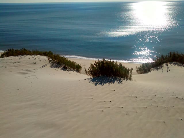 Loft at Mazagón (Natural Pre-Park Doñana)