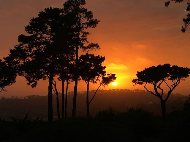 Pebble Beach garden views & sunsets