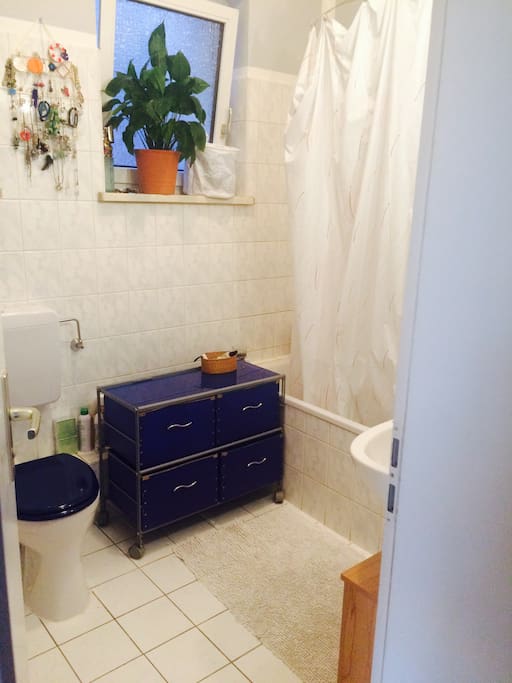 Bathroom with WC