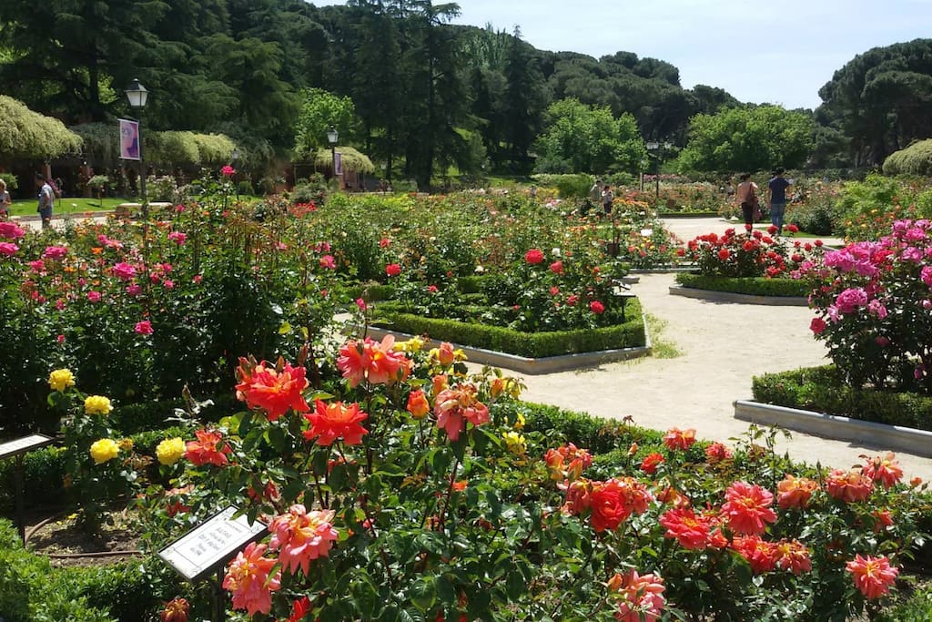 Rose garden in park de oeste