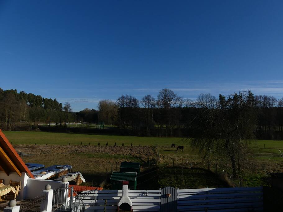 Ausblick vom Balkon