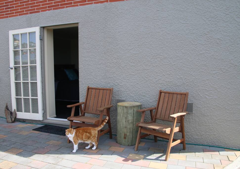 External entry with Anubis our lovely kitty