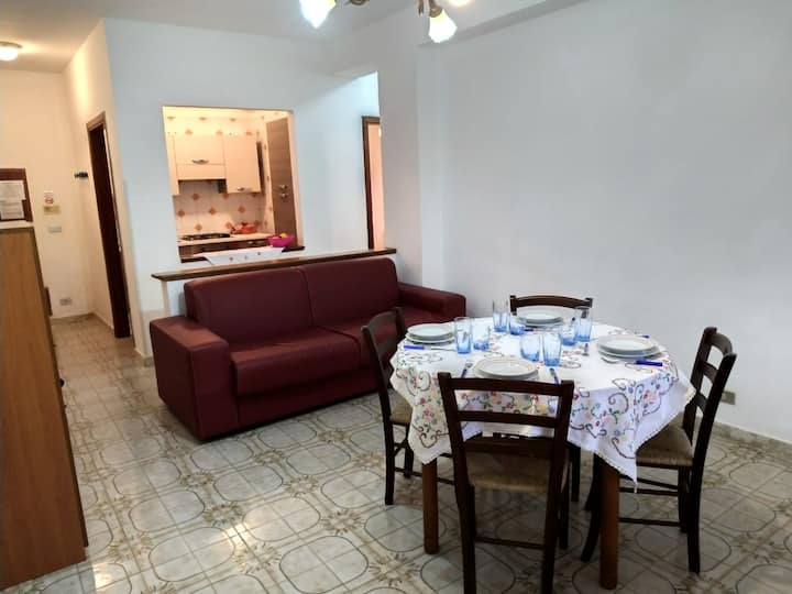 Miami Residence Apartments - Praia a Mare