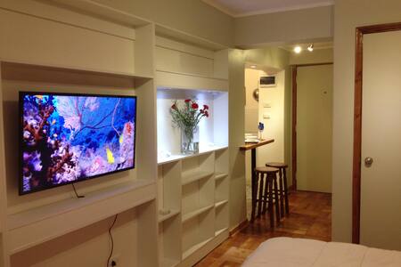 Apartamento Bellas Artes - Lastarria!!