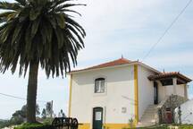 Casa da Palmeira - (Moradia)