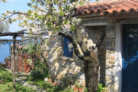 Charming Little House in Piran (with Free Parking)